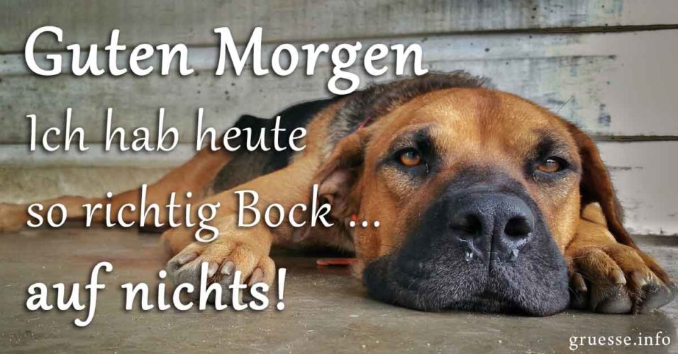 Lustige Guten Bilder & Sprüche Grüße.info