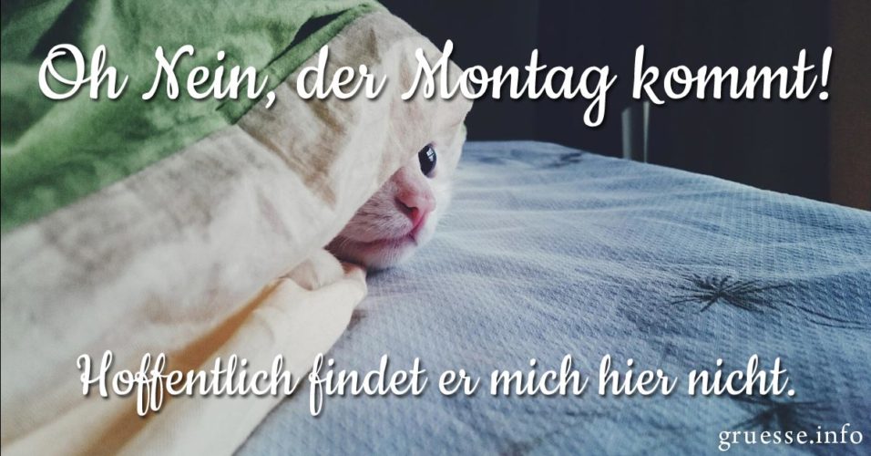 Wann Kommt Hartz 4 Wenn Der 1 Ein Montag Ist Guten Morgen Montag - Schöne Montagsgrüße zum Wochenstart