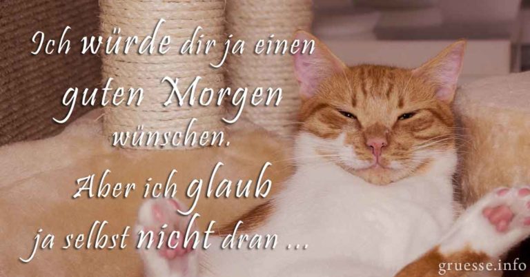 Lustige Guten Bilder & Sprüche Grüße.info