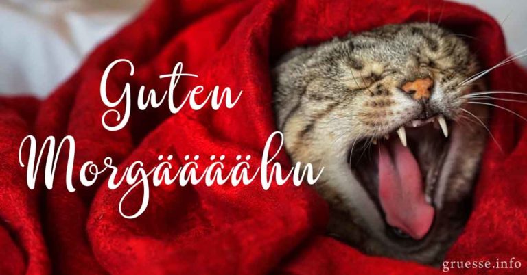 Lustige Guten Bilder & Sprüche Grüße.info