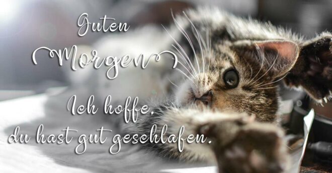 Guten Grüße, Sprüche & Bilder