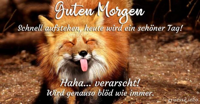 Lustige Guten Bilder & Sprüche Grüße.info