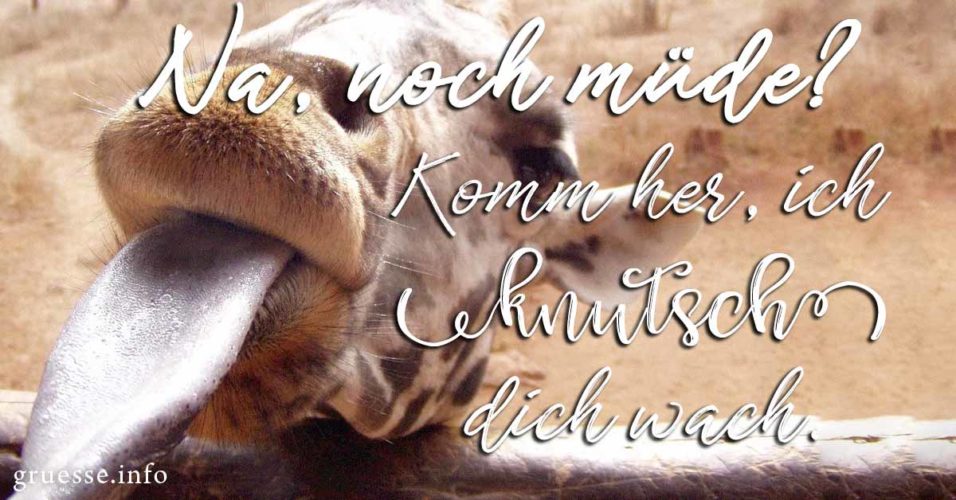 Lustige Guten Bilder & Sprüche Grüße.info