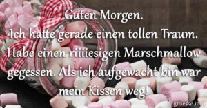 Ich hatte gerade einen tollen Traum. Habe einen riiiiesigen Marschmallow gegessen. Als ich aufgewacht bin war mein Kissen weg!
