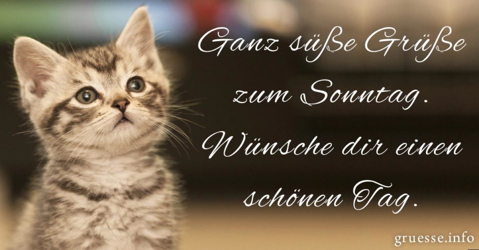 ll Sonntagsgrüße Schöne grüße zum Sonntag mit Bildern & Sprüchen