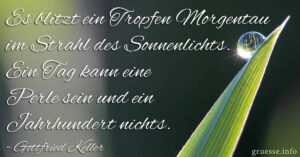 Es blitz ein Tropfen Morgentau im Strahl des Sonnenlichts. Ein Tag kann eine Perle sein und ein Jahrhundert nichts.